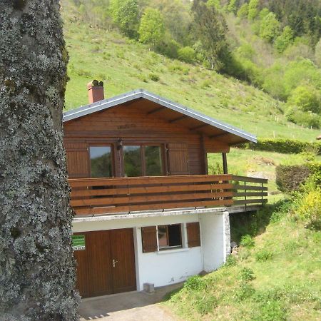 Chalet Les Jonquilles Ла-Бресс Экстерьер фото