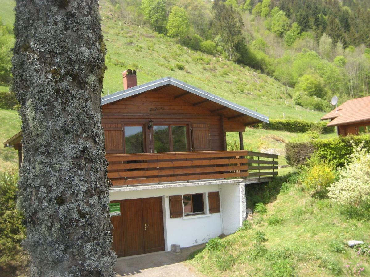 Chalet Les Jonquilles Ла-Бресс Экстерьер фото